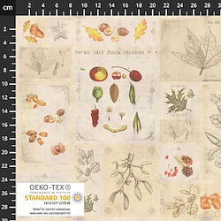 "Leaf, Berry, Fruits, Nature, Plants, Writing & Text - Herbarium"